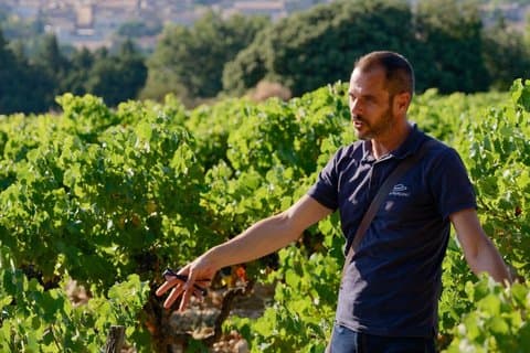 Tour enologico di Bandol e Cassis da Aix en Provence