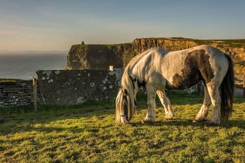 Tour privati con autista di più giorni in Irlanda – Luxury Line MPV XL