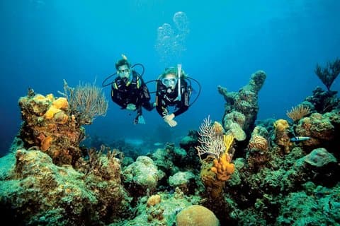 Diving activity much more than an Intro Dive