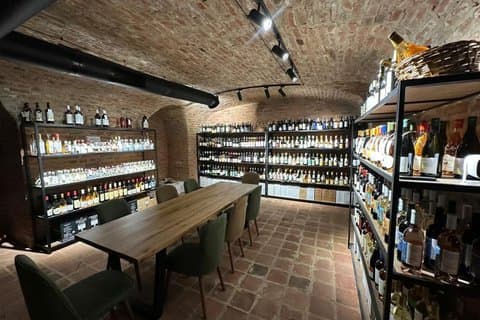 Wine Tasting with Snacks and Sommelier in Wine store Orbeliani