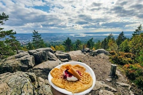 Oslo's Scenic Fjord Hike & Chef's Norwegian Forest Waffle