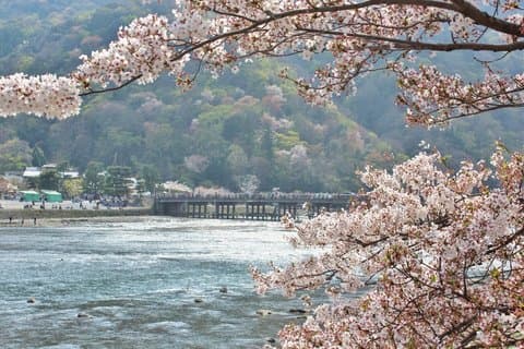Private Car Tours to Kyoto and Maizuru