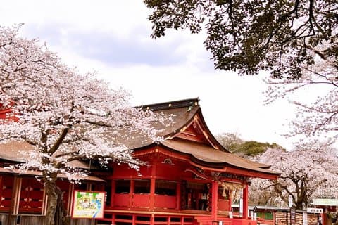 Omiya Yokocho Minivan Private Tour Experience