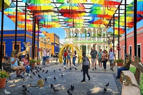 Puerto Plata: Bytur med aber, historisk centrum og natur
