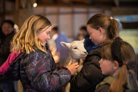 Authentieke Kiwi Farm Tour bij Woodstone Farm