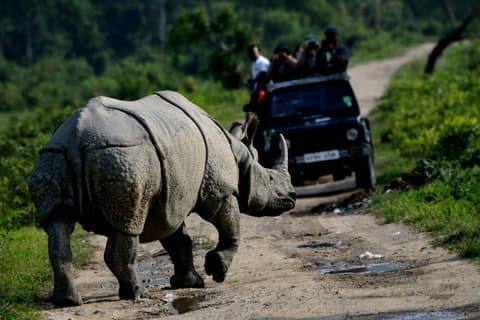 Guwahati Pobitora Wildlife Sanctuary and Mayong Museum Tour