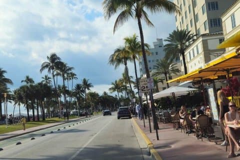 Tour privado por Everglades y la ciudad combinado