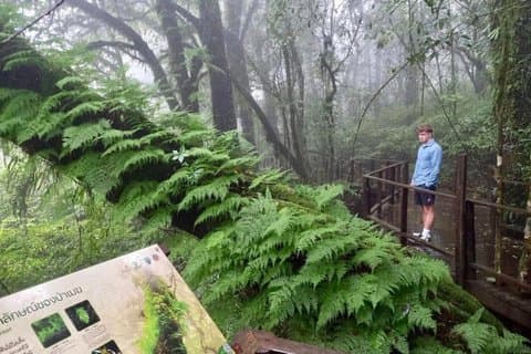 Det thailandske tag besøger Doi Inthanon National Park