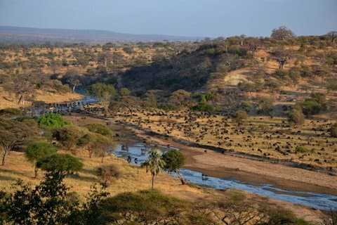 2 Tage Tarangire und Ngorongoro Safari