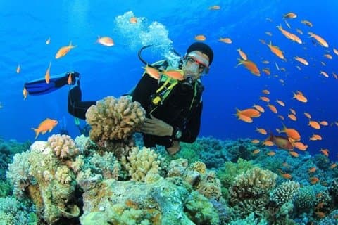Hurghada - Dykkingskurs PADI Open Water 3 dager med båtturer