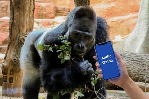 Audioguía en línea del zoológico de Praga