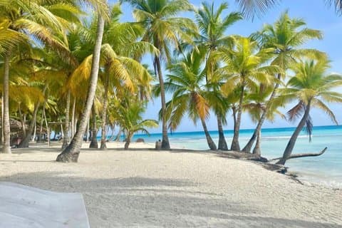 Excursion d'une journée à Isla Saona Déjeuner et Naturel pauvre