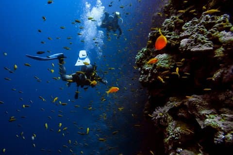 Try Scuba Diving in Budva: Boat Experience & Underwater Tunnels
