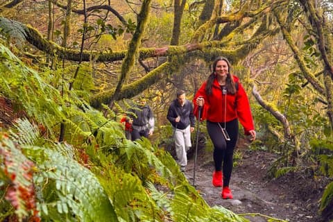Anaga Mountains and Enchanted Forest, Tenerife Excursão de caminhada