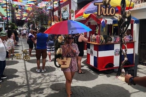 Puerto Plata: Passeio dos Macacos, Fortaleza e Centro Histórico