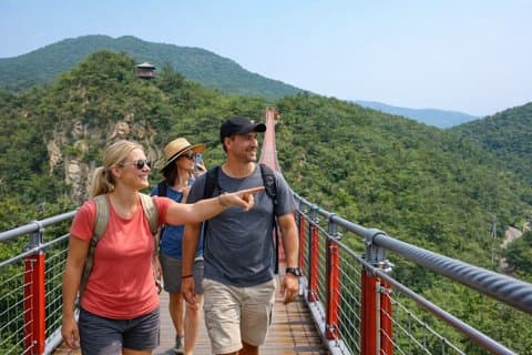 DMZ Highlights with Suspension Bridge Private Tour from Seoul