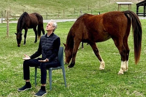 Meditatie met Paarden in Asheville