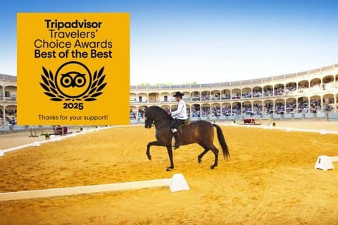 Fra Malaga: Privat dagstur til Ronda med Bullring Entrance