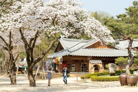 Seoul Pick up : Nami Island og Chuncheon - Engelsk eller Spansk