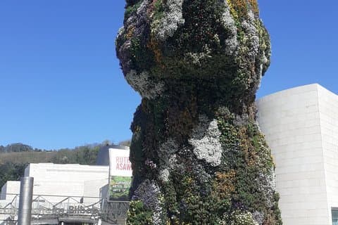 Histórias das Mulheres de Bilbao e o Tour Noturno de Guggenheim