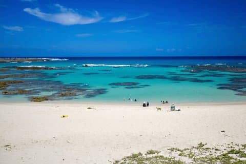 Amami Oshima Island Private Custom Tour with Local Guide