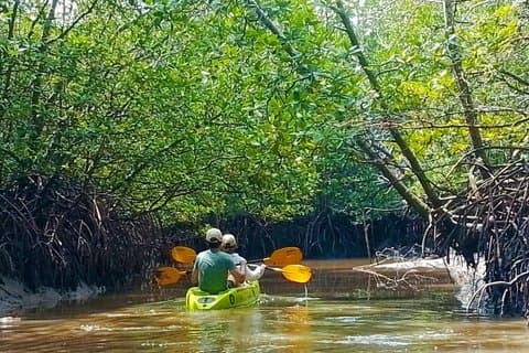 Avventura in kayak con mangrovie Thung Yee Peng di mezza giornata