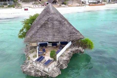 Excursión al bosque de Jozani, cueva de Salaam y restaurante The Rock en Zanzíbar