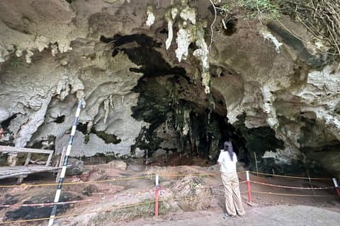 Tabon Cave Complex Day Tour from Puerto Princesa City