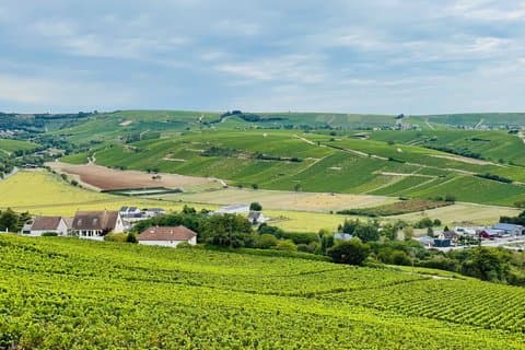 Paris Wine Day Tours exclusive Champagne tour incl. 3 visits