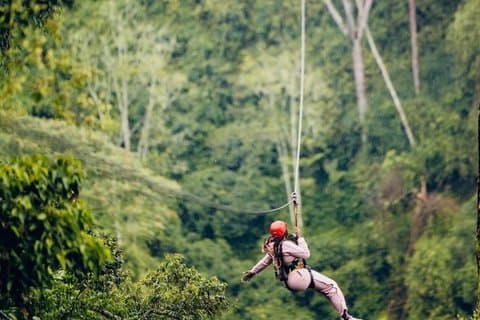 Nyungwe Forest Eventyr – Canopy Walk og Zipline