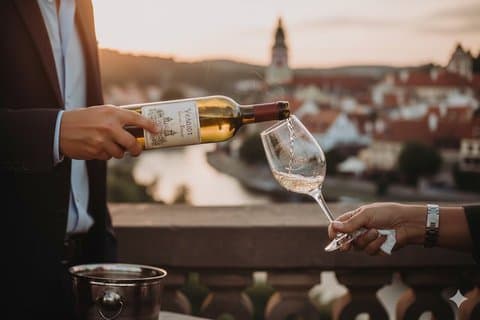 Schiele Art & Wine Tour: Galleries + Wine Degustation