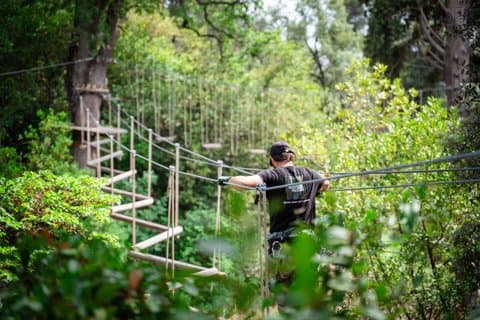 Marseille Ecopark Abenteuer-Baumwipfelpark