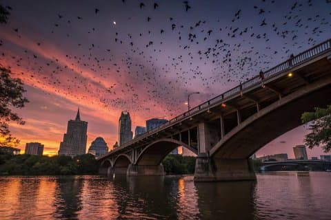 I migliori bar e pipistrelli di Austin 3 - Tour guidato di un'ora