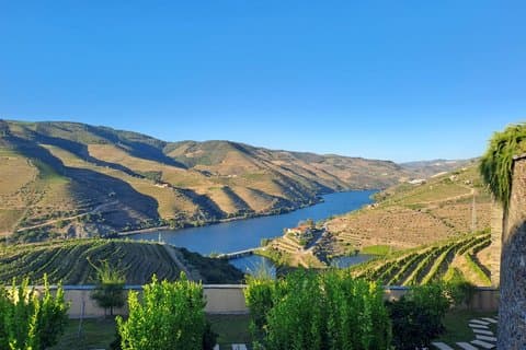 Porto to Douro Valley Private Wine Tour with Sommelier, full-day