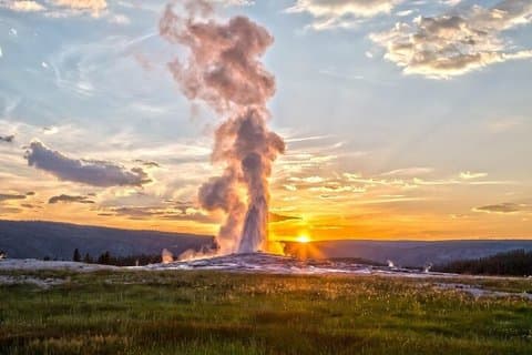 Yellowstone Natl Park Lower Loop Scenic & Wildlife Tour From Cody