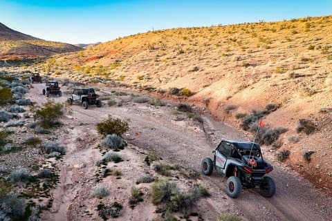 Guidad Mojaveöken Off Road RZR äventyr