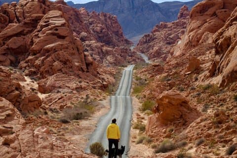 Valley of Fire Private Tour ab Las Vegas