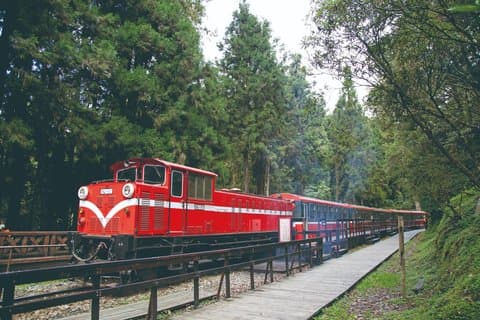 Privat 3-dages tur fra Taipei: Sun Moon Lake, Alishan, Lukang