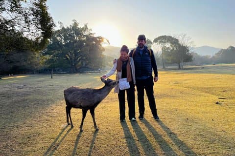 Nara: Helig morgonpromenad med rådjur i dimman