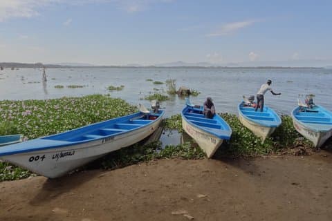 Lake Naivasha og Crescent Island Day Safari Vandring blandt vilde dyr
