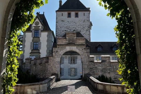 Interlaken Thunersee Drie Kastelen Tour met Toegangskaarten
