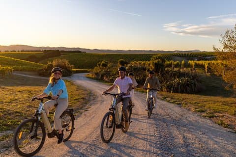 Morning Guided with Afternoon Self-Guided Biking Wine Tour