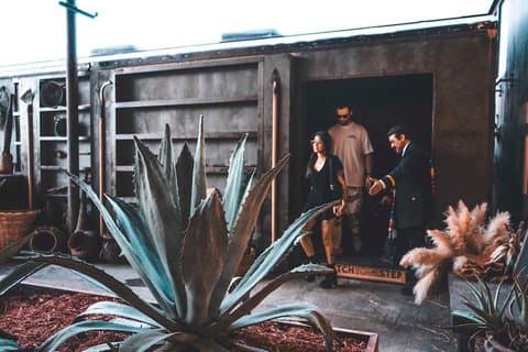 Expérience Agave immersive à Tequila Town Miami