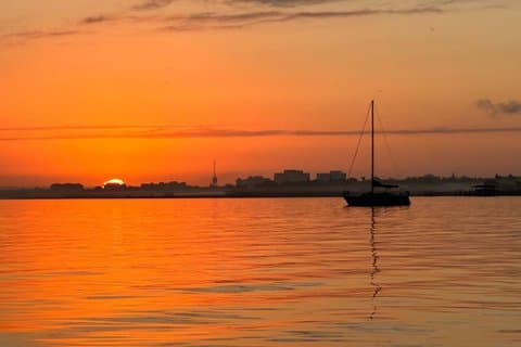 3 Stunden Eco Tour Abenteuer : Sarasota Bay, Egmont Key & Fort DeSoto