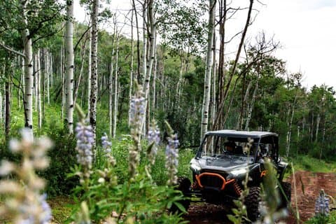 ATV und Polaris Ferienwohnungen in Meeker Adventure Awaits