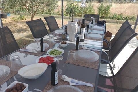 Olive oil seminar with tasting in Metaggitsi – Halkidiki