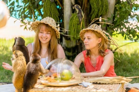 Esperienza VIP al rifugio per animali Monkey House