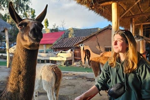 Cusco in One Day: Inca Ruins, Horse Riding & Alpaca Farm
