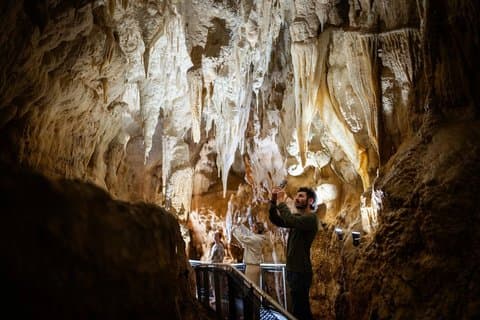 90-Minute Guided Ruakuri Cave Tour Waitomo