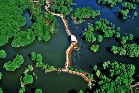 Discover the National Biosphere Reserve of Can Gio Private Tour